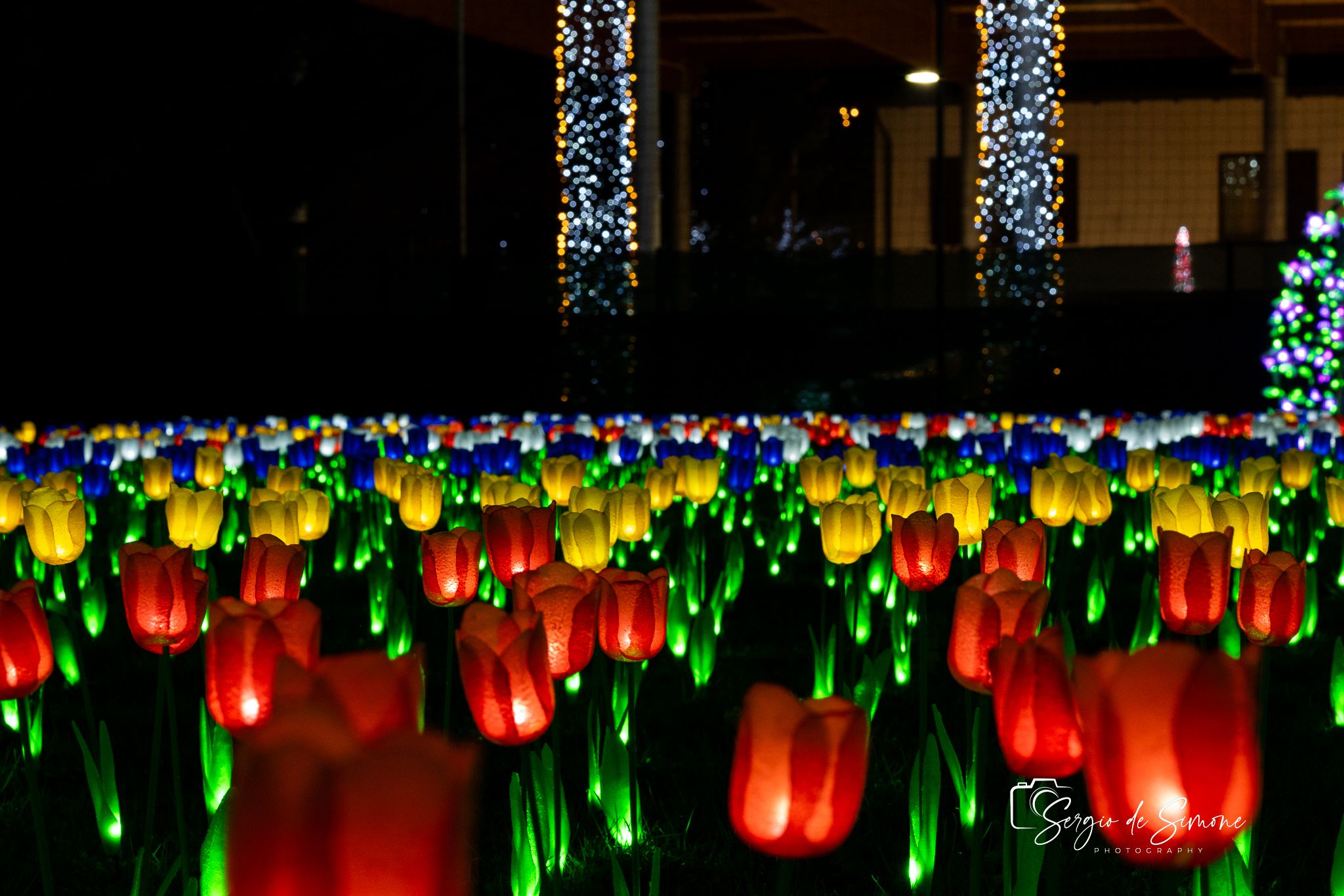 Christmas Lights, Italy