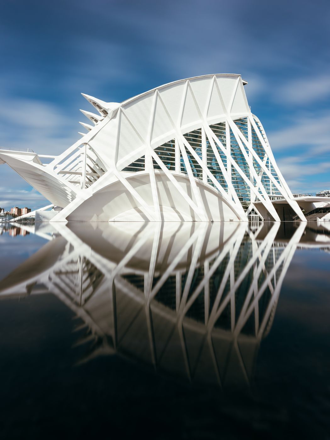 Ciudad de las Artes y de las Ciencias, Spain