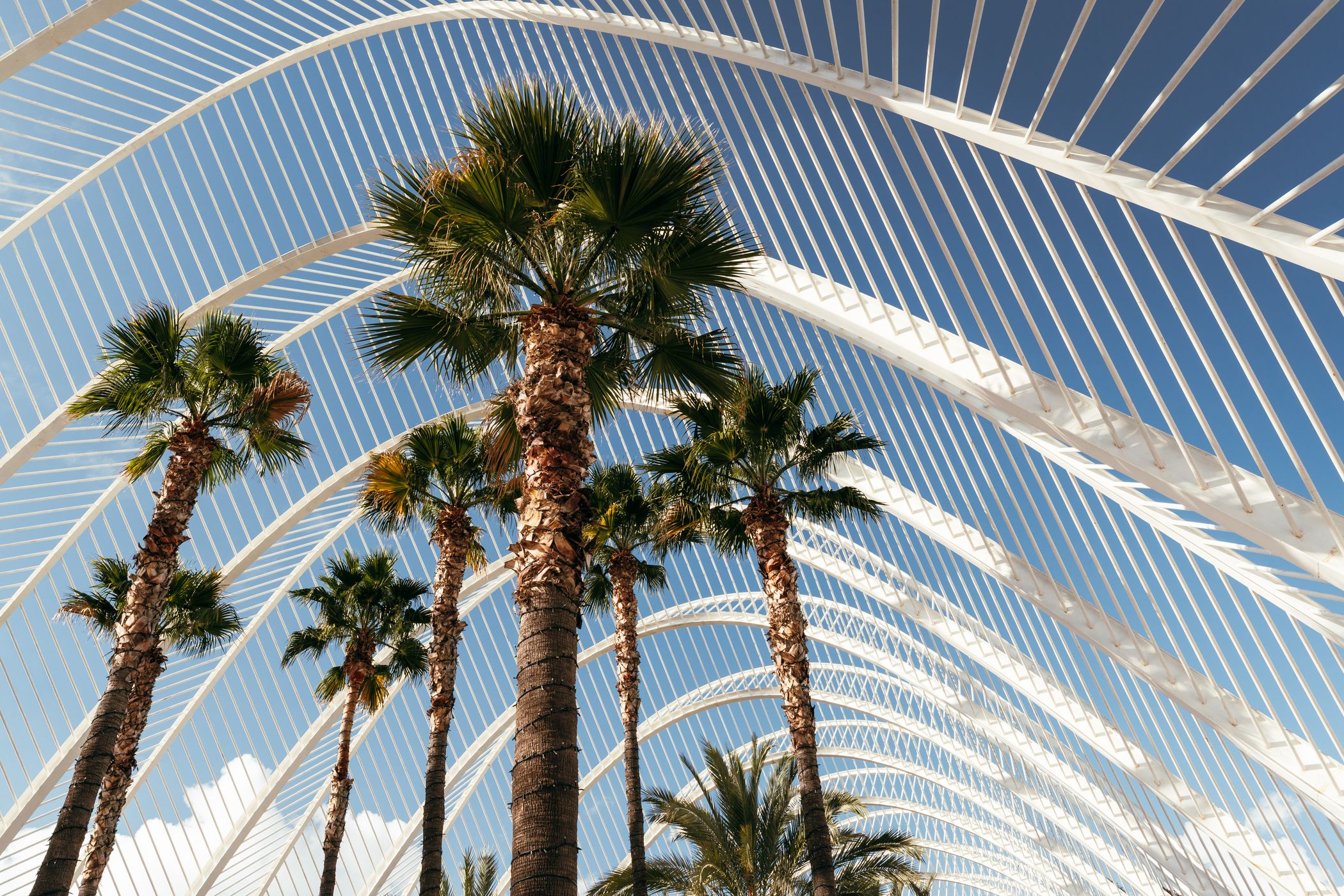 City of Arts and Sciences, Valencia, Spain