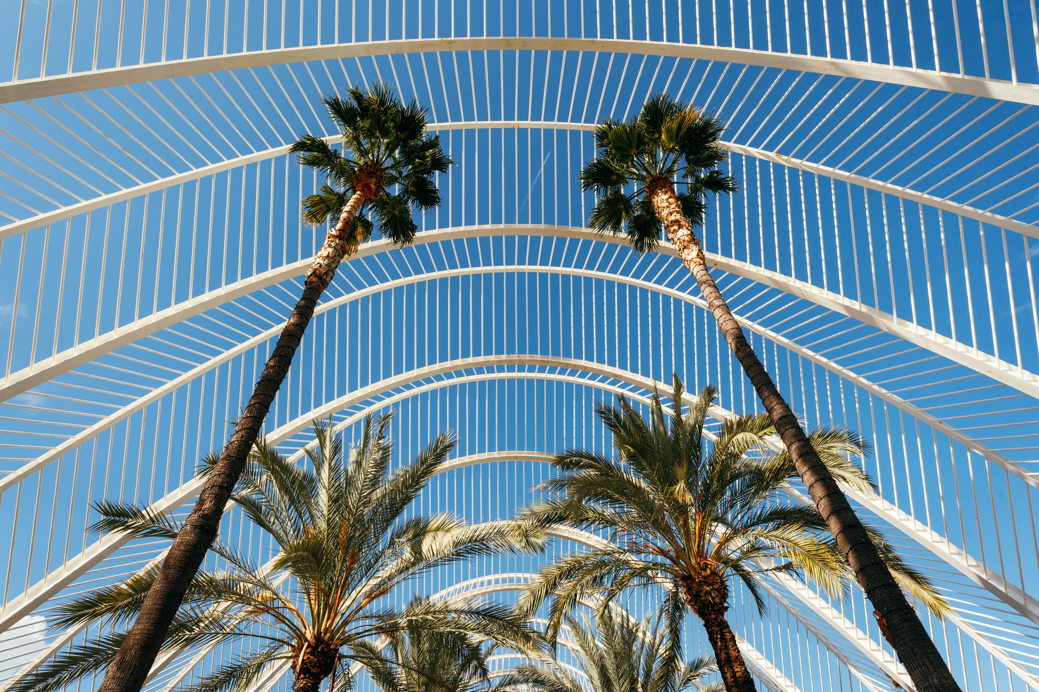 City of Arts and Sciences, Valencia, Spain