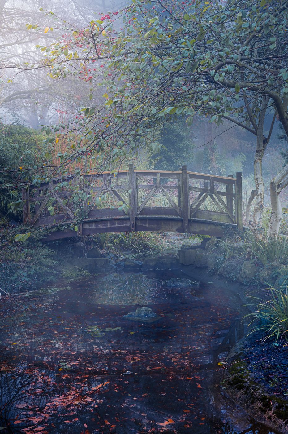 Darlington South Park, United Kingdom