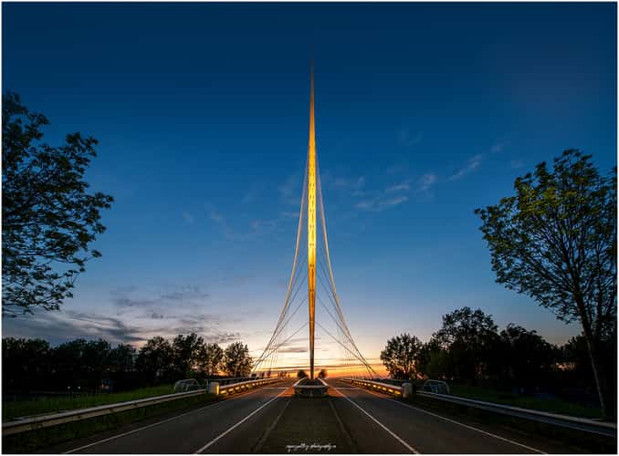 Harp Bridge by Calatrava