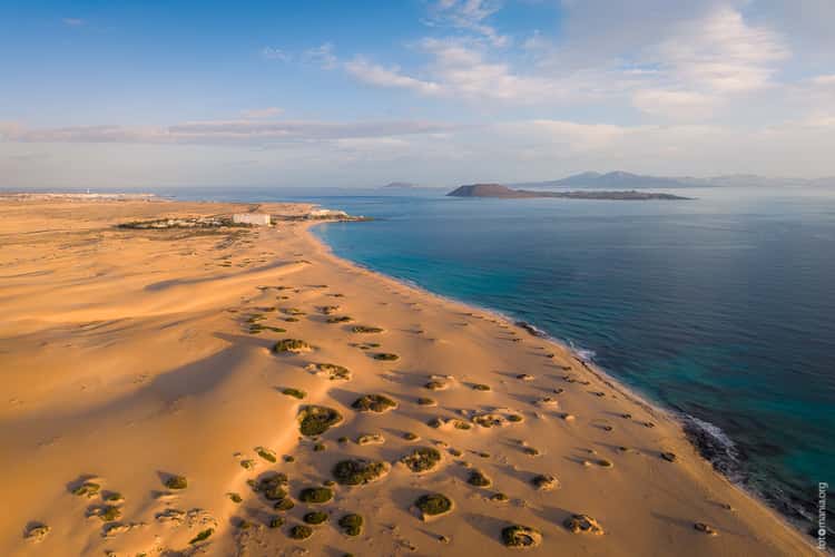 Dunas de Corralejo (drone)