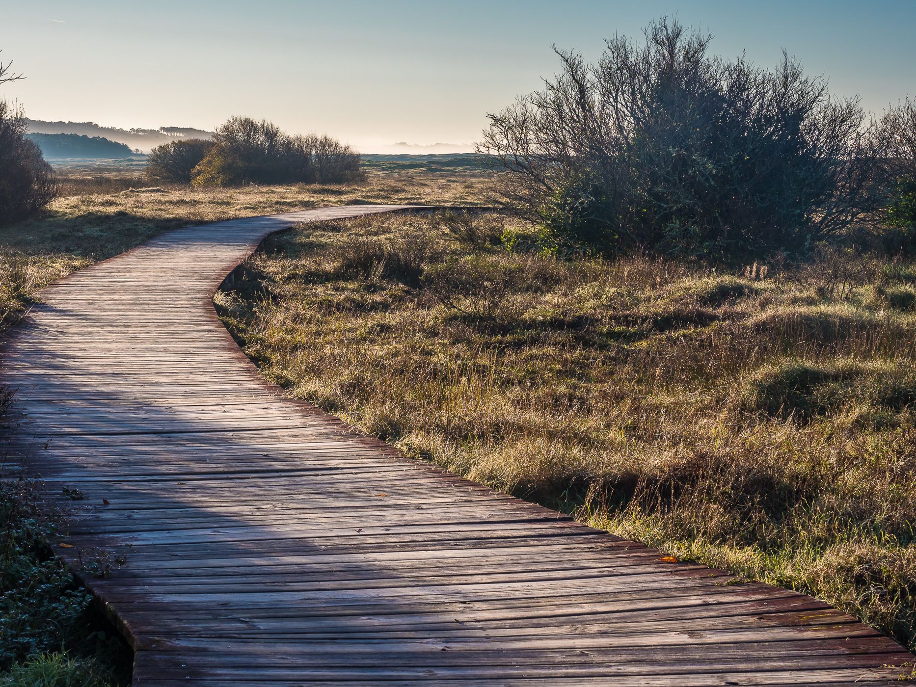 Dunas de Corrubedo, Spain