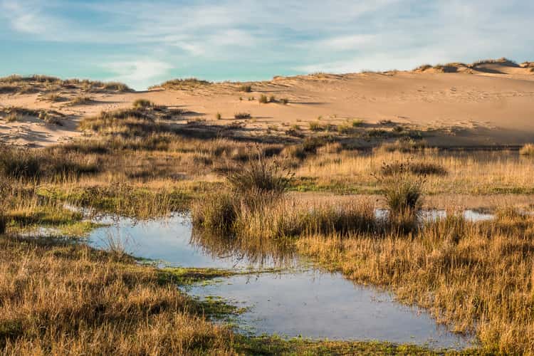 Dunas de Corrubedo