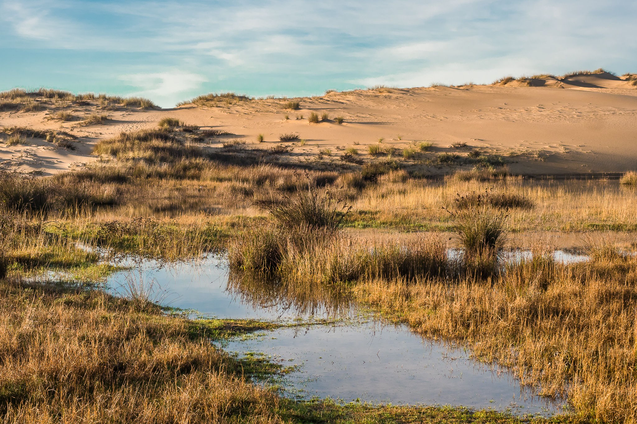 Dunas de Corrubedo, Spain