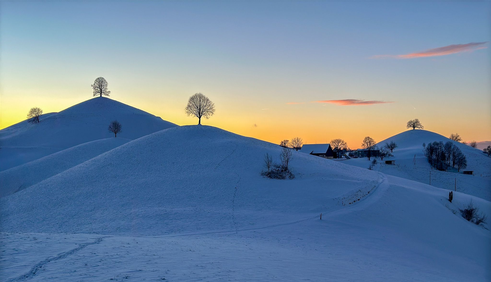 Fairy tale trees, Neuheim, Switzerland