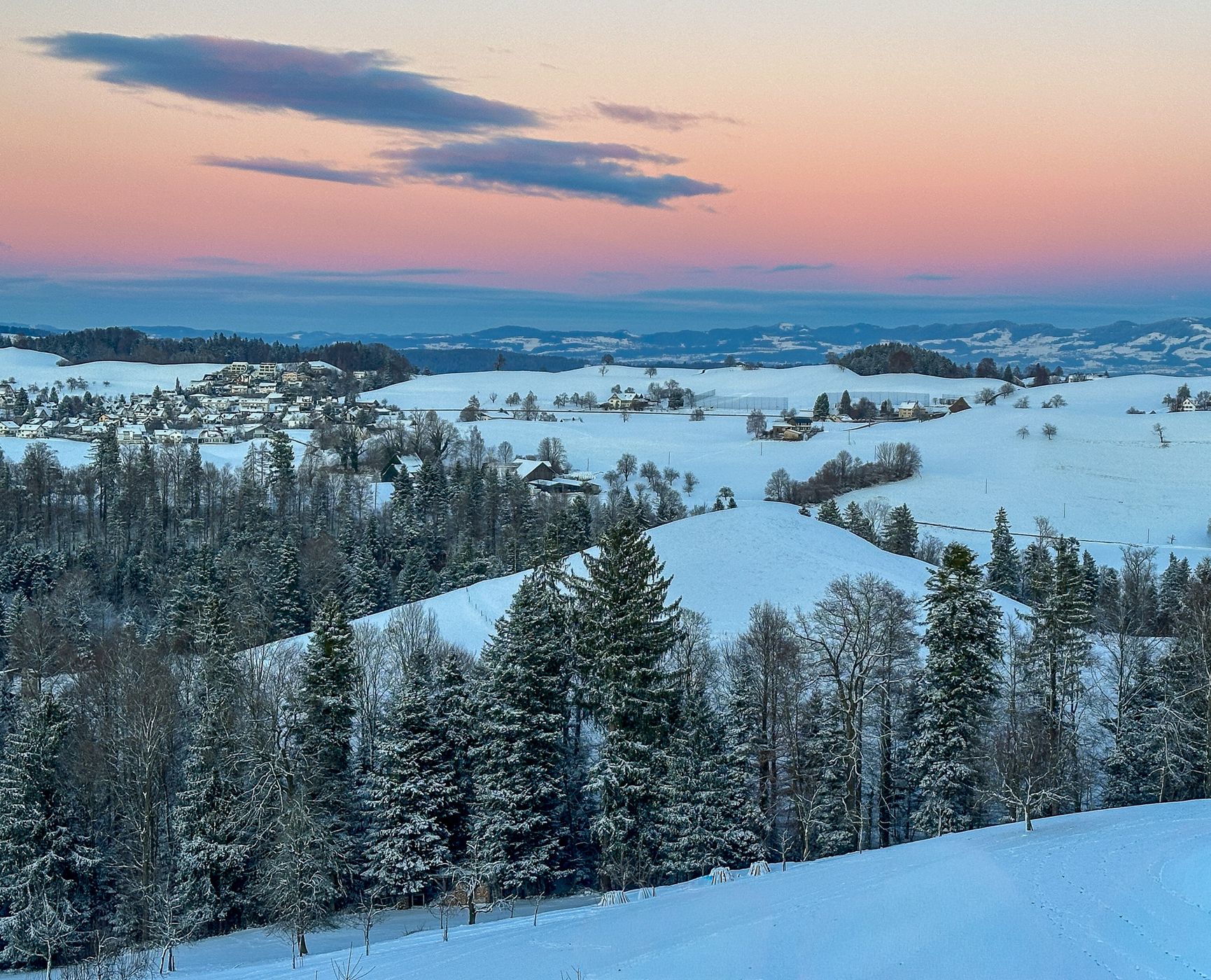 Fairy tale trees, Neuheim, Switzerland