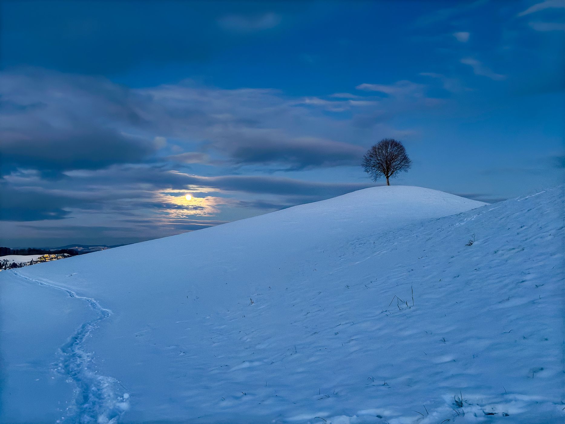 Fairy tale trees, Neuheim, Switzerland