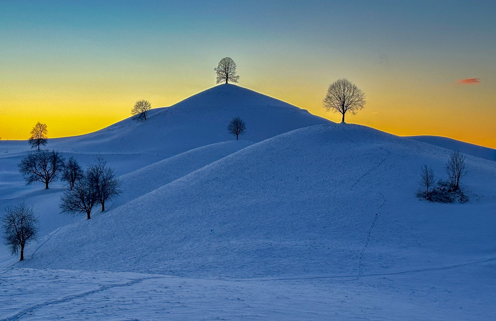 Fairy tale trees, Neuheim, Switzerland