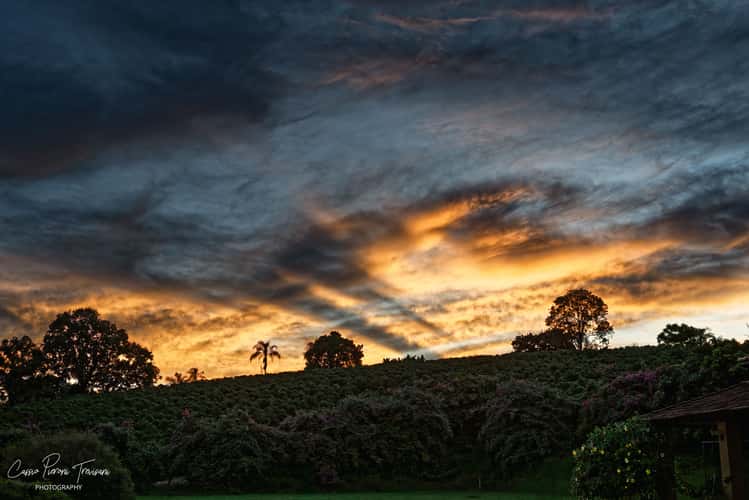 Fazenda Santo Antonio