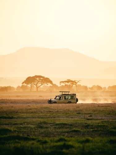 Golden Light car shot, Amboseli National Park