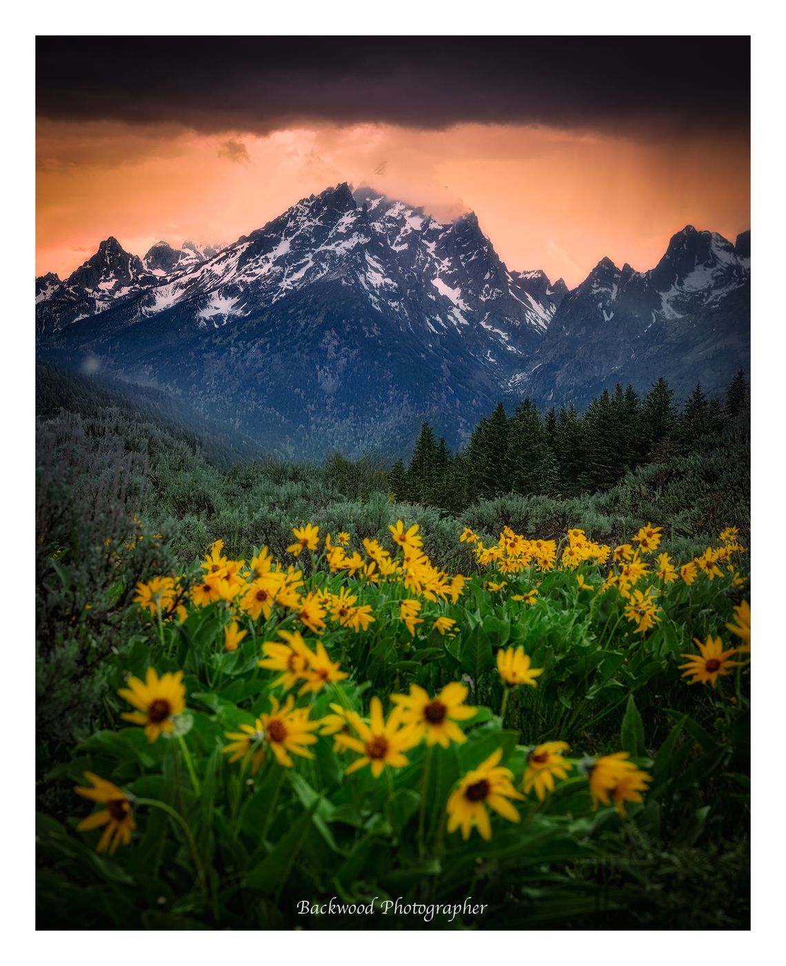 Grand Tetons national park, USA