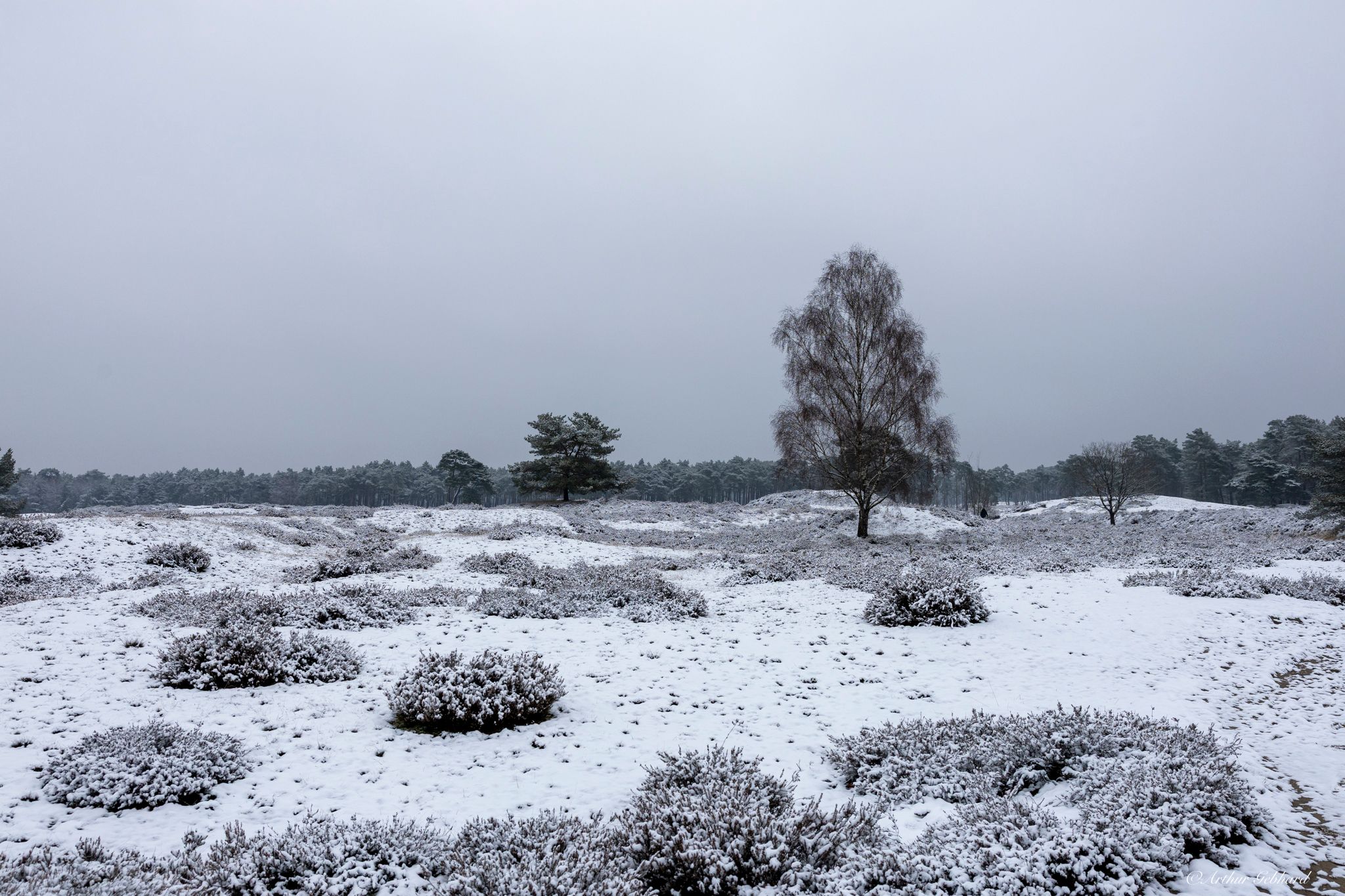 Groot Heidestein, Netherlands