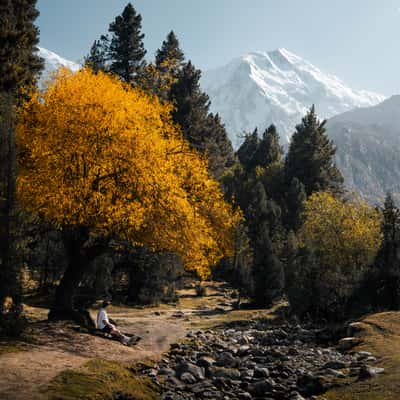 Hike to Beyal Camp, China