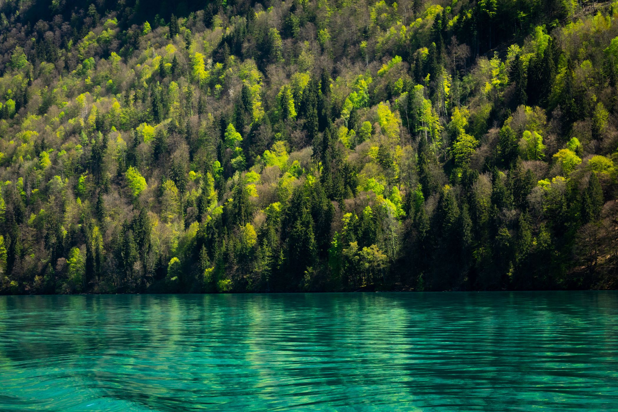 Iseltwald, Switzerland