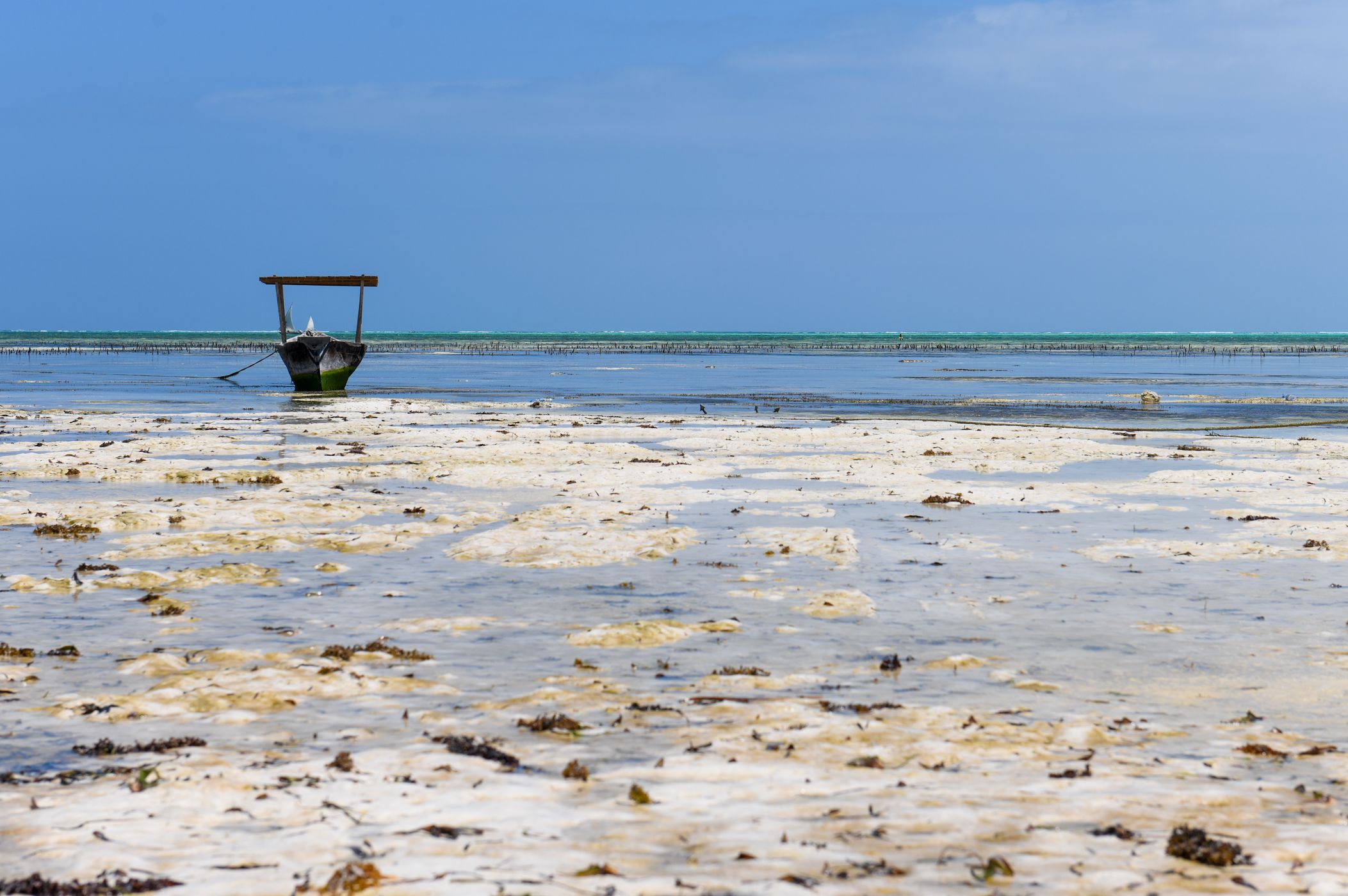 Jambiani beach, Tanzania