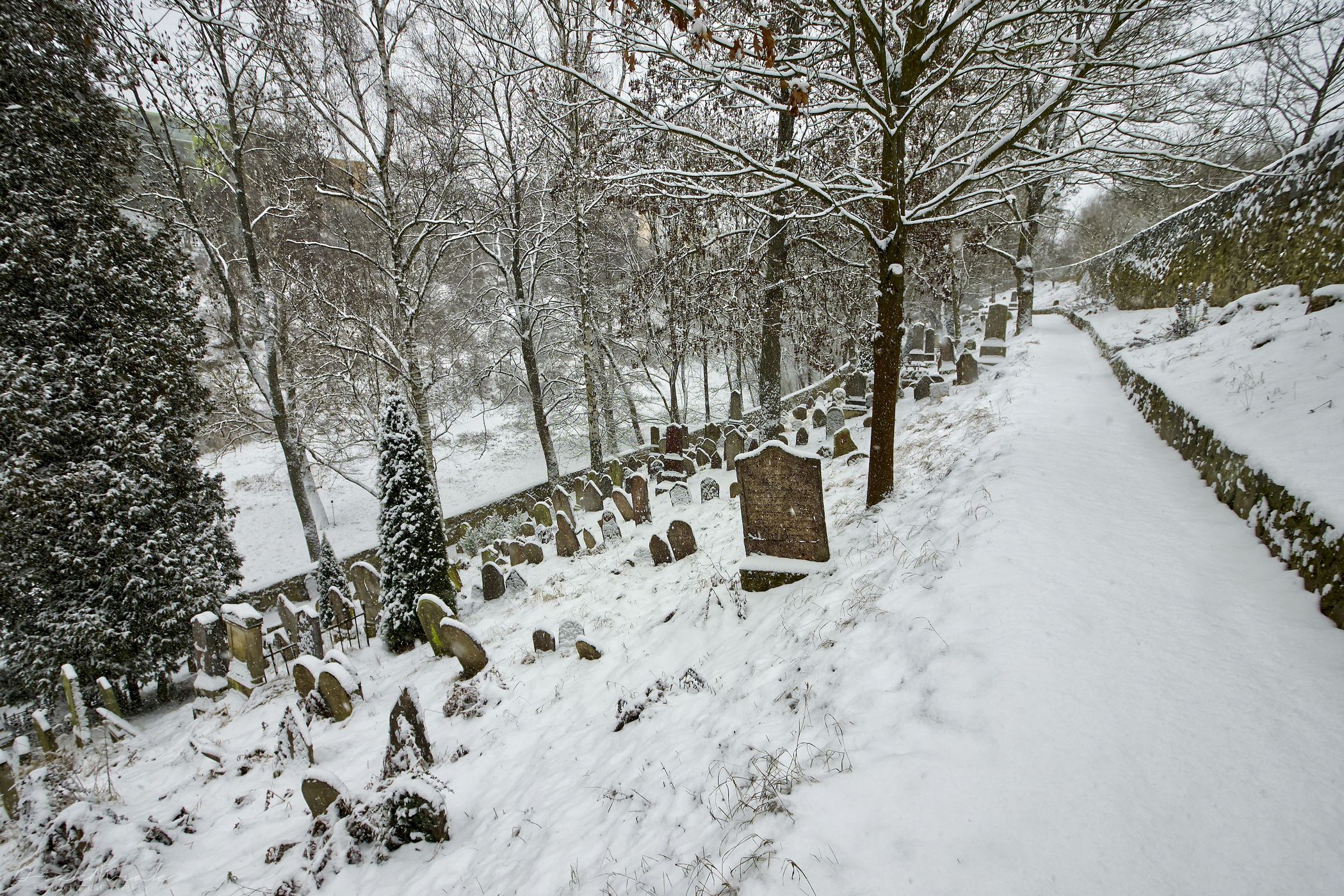 Jewish cemetery, Czech Republic