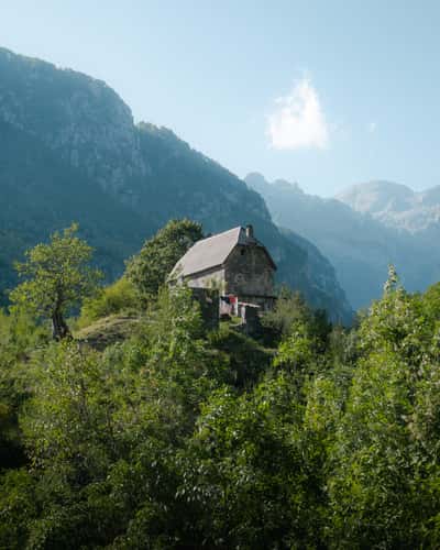 Kunora e Grunasit