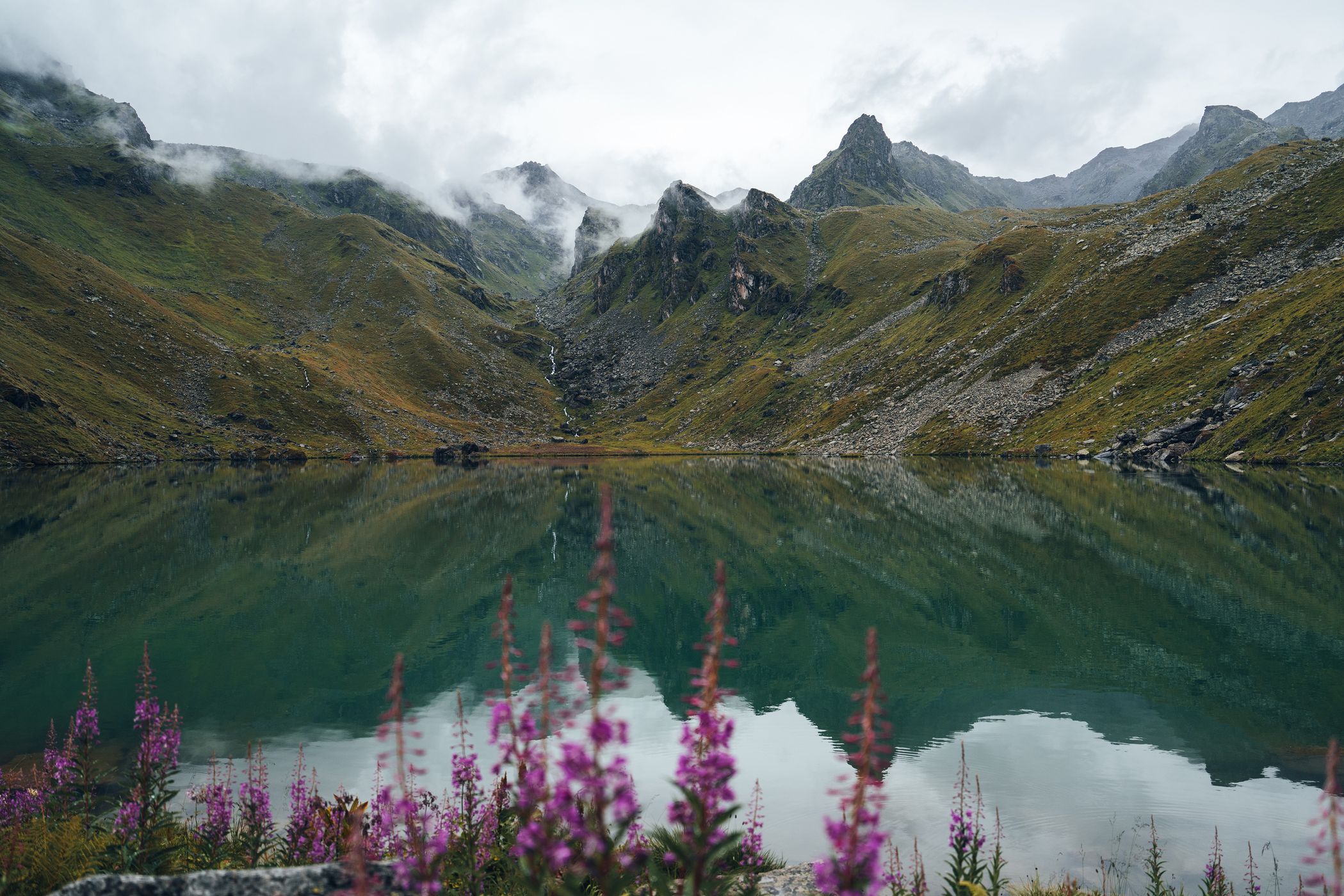 Lac de Louvie with flowers, Switzerland