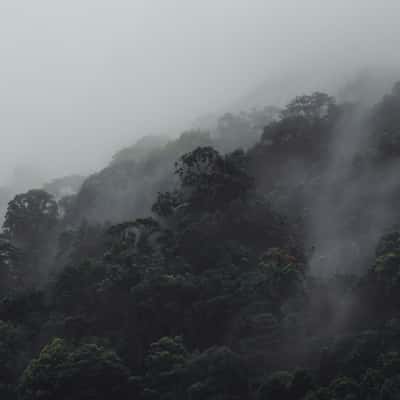 Langkawi Rainforest, Malaysia