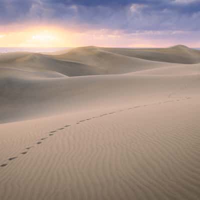 Las Dunas of Maspalomas (Gran Canaria), Spain