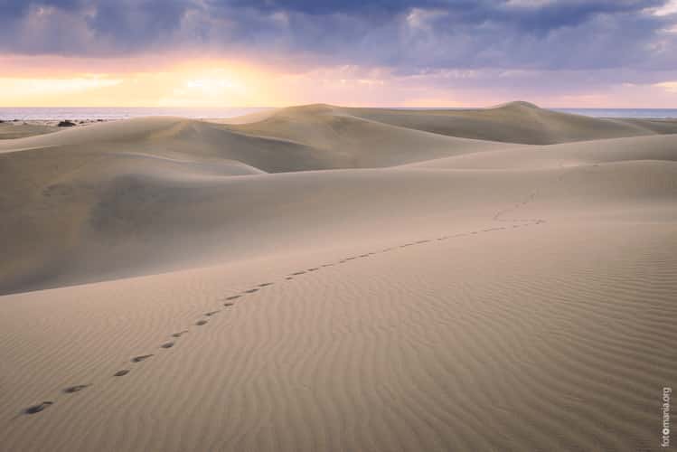 Las Dunas of Maspalomas (Gran Canaria)