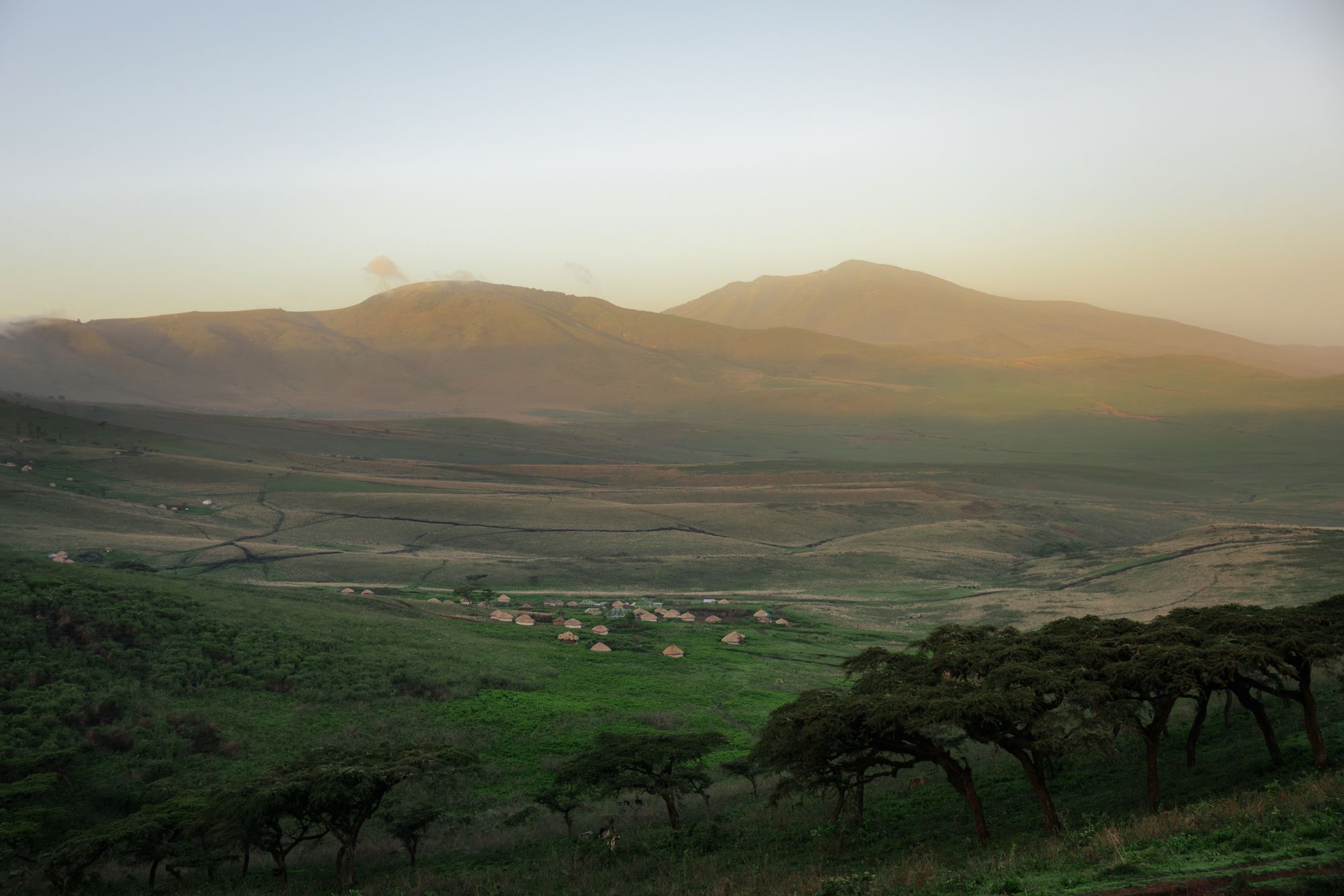 Malanja, Ngorongoro Crater National Park, Tanzania