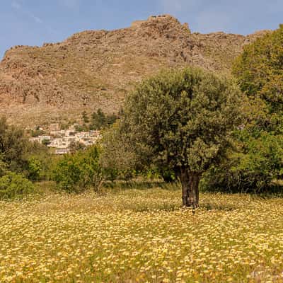 Megalo Chorio, Greece