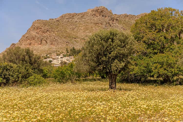 Megalo Chorio