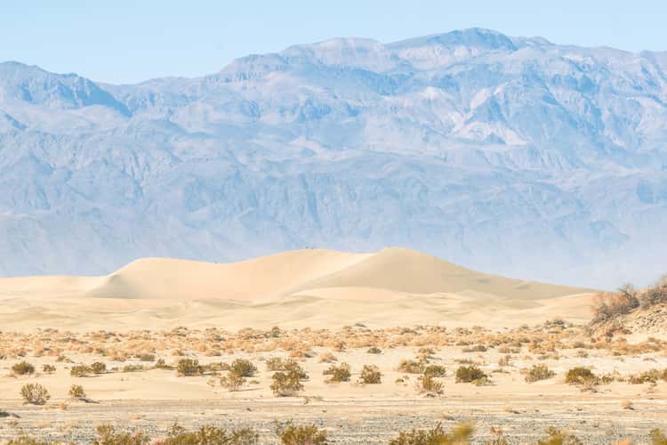 Mesquite Flats Sand Dunes