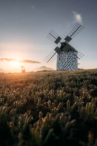 Molinos de Villaverde