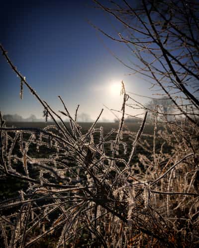 Mühlenteich