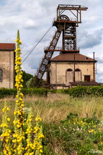Musee les mineurs