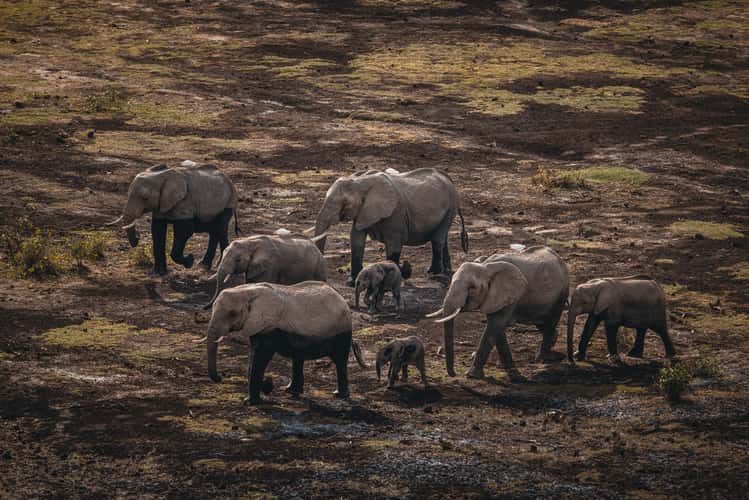 Noomotio Observation Point, Amboseli National Park