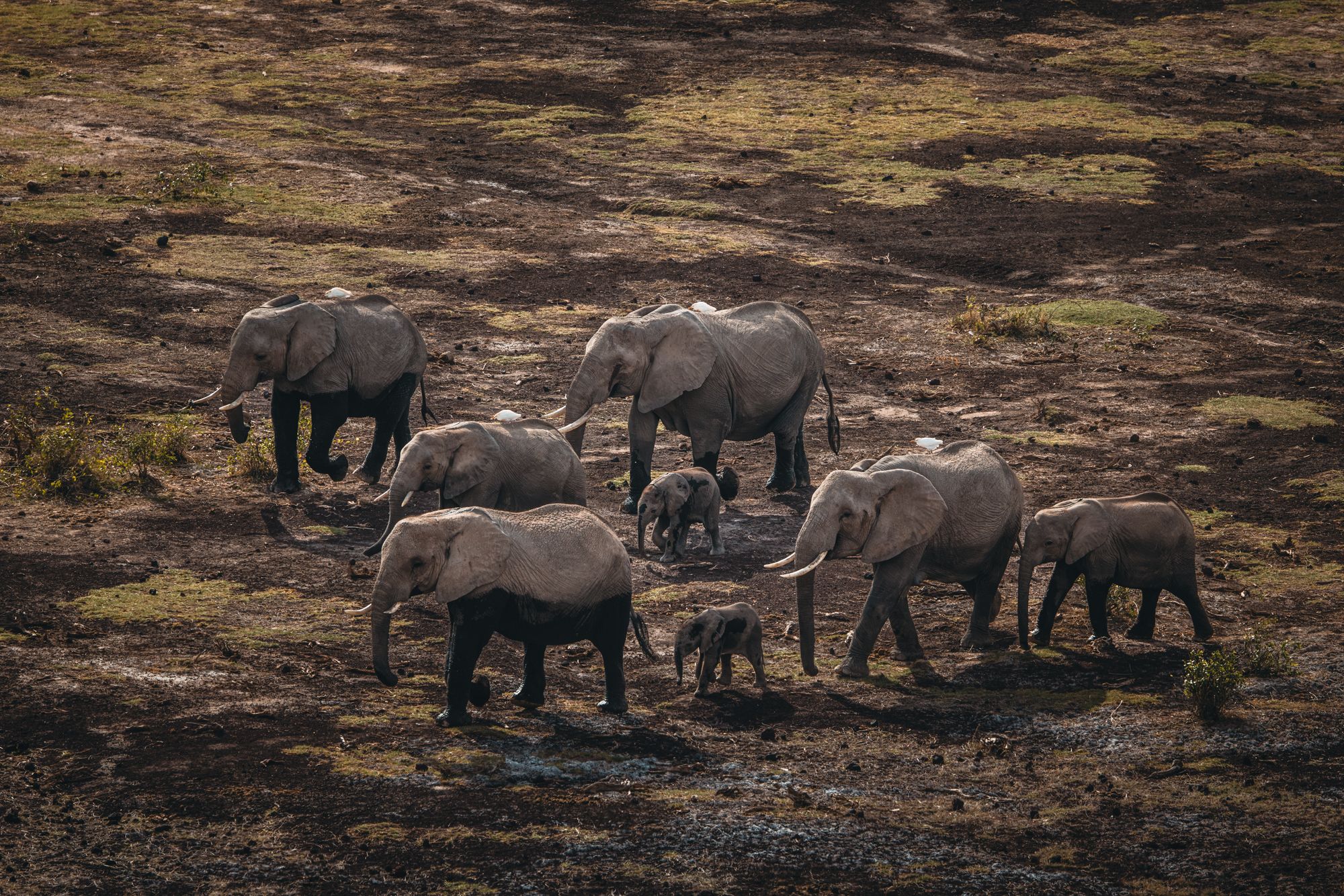 Noomotio Observation Point, Amboseli National Park, Kenya