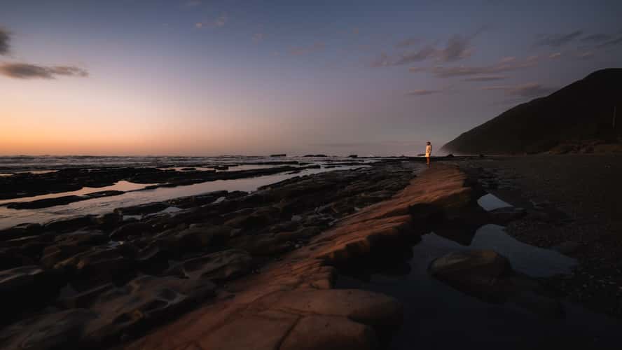 Northern View Motukiekie Beach