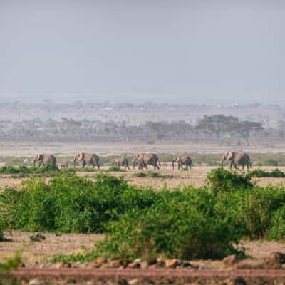 Obervation Hill Parking, Amboseli National Park, Kenya