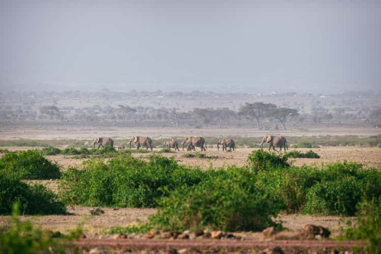 Obervation Hill Parking, Amboseli National Park