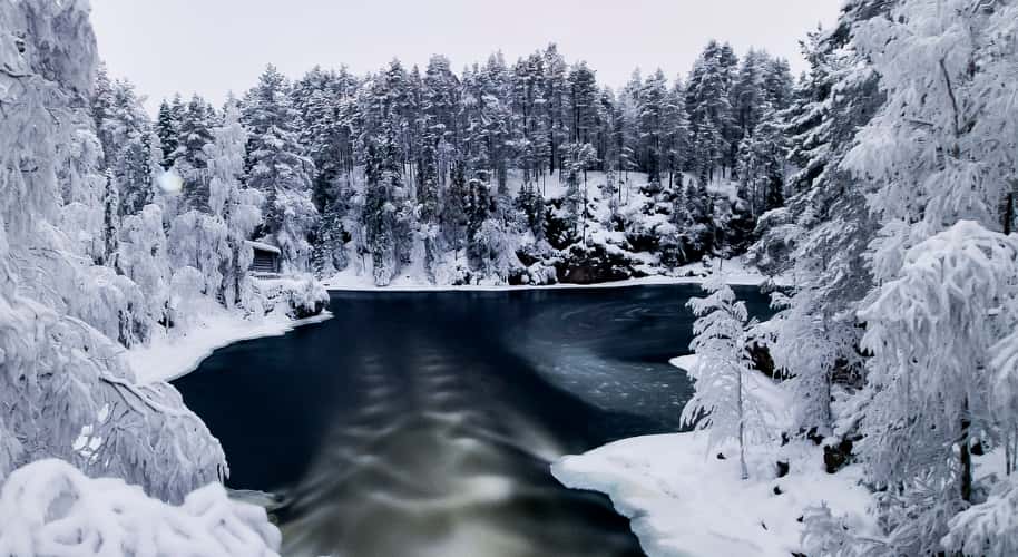 Oulanka National Park Suspension Bridge