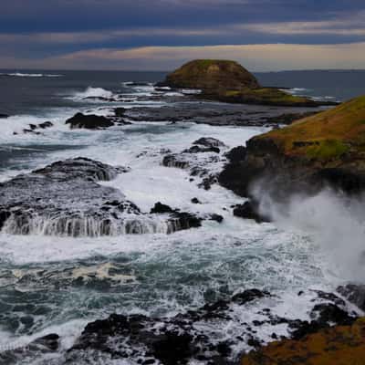 The Nobbies on Phillip Island, Victoria., Australia