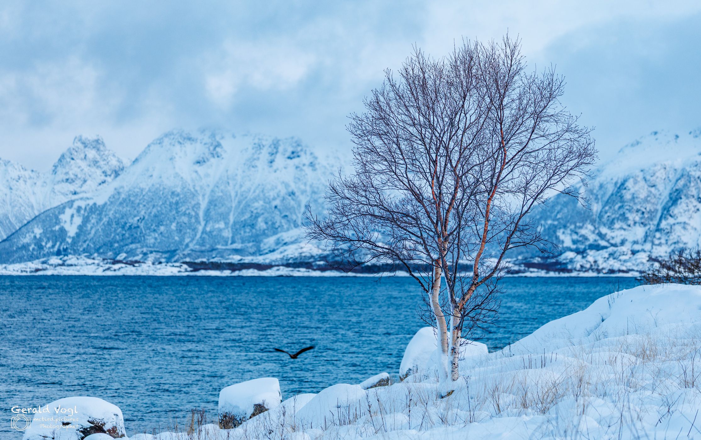 Road to Nusfjord, Norway
