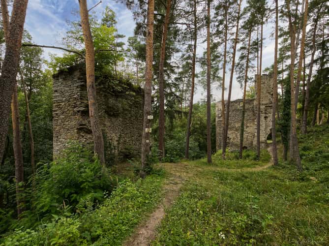 Ruins of Frejštejn Castle