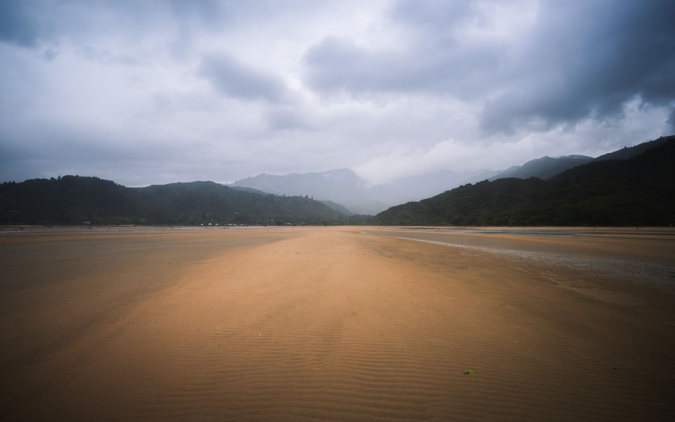 Sandy Bay Low Tide, New Zealand