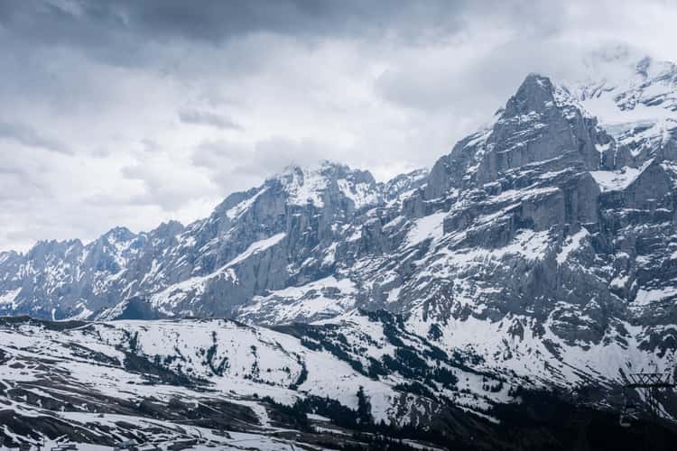 Schreckhorn from Grindelwald First
