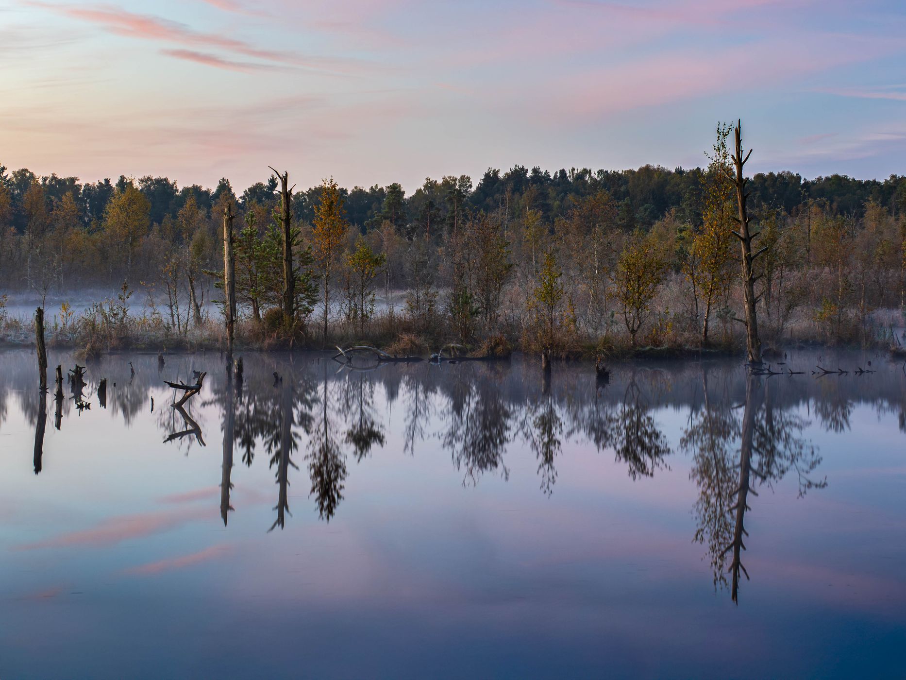 Schwenninger Moos, Germany