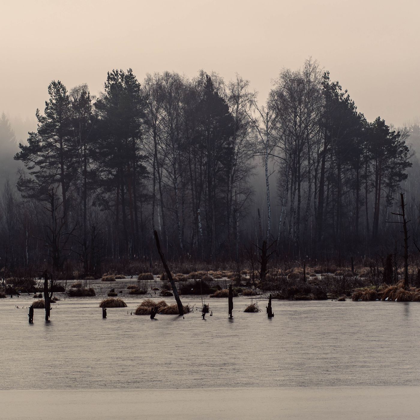 Schwenninger Moos, Germany
