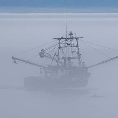 Ship in Port de Grave Harbour, incl. whale, Canada