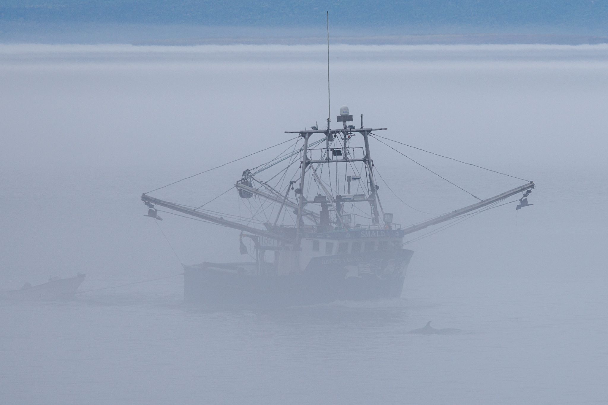 Ship in Port de Grave Harbour, incl. whale, Canada