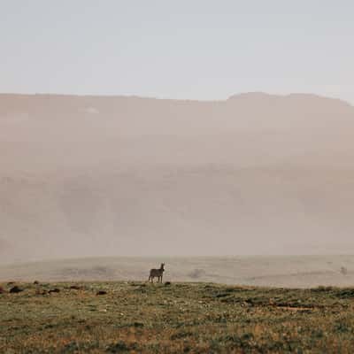Small hill inside Ngorongoro Crater National Park, Tanzania